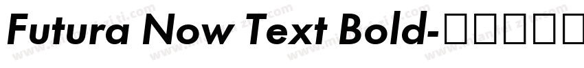 Futura Now Text Bold字体转换